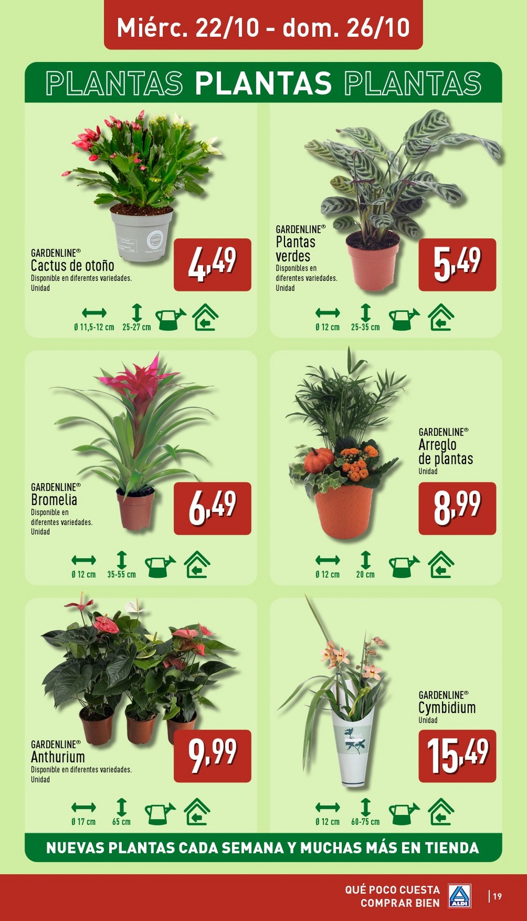 aldi folleto 19