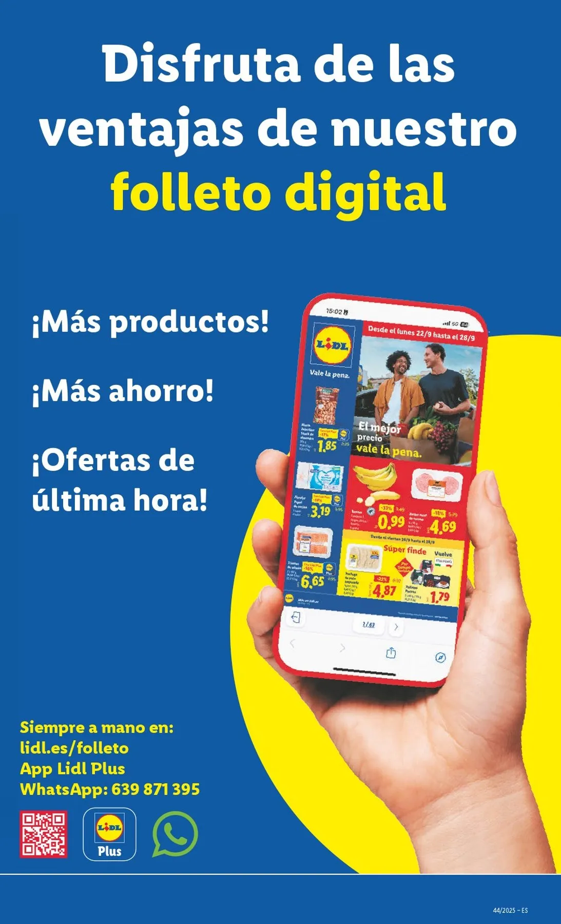 lidl bazar 23