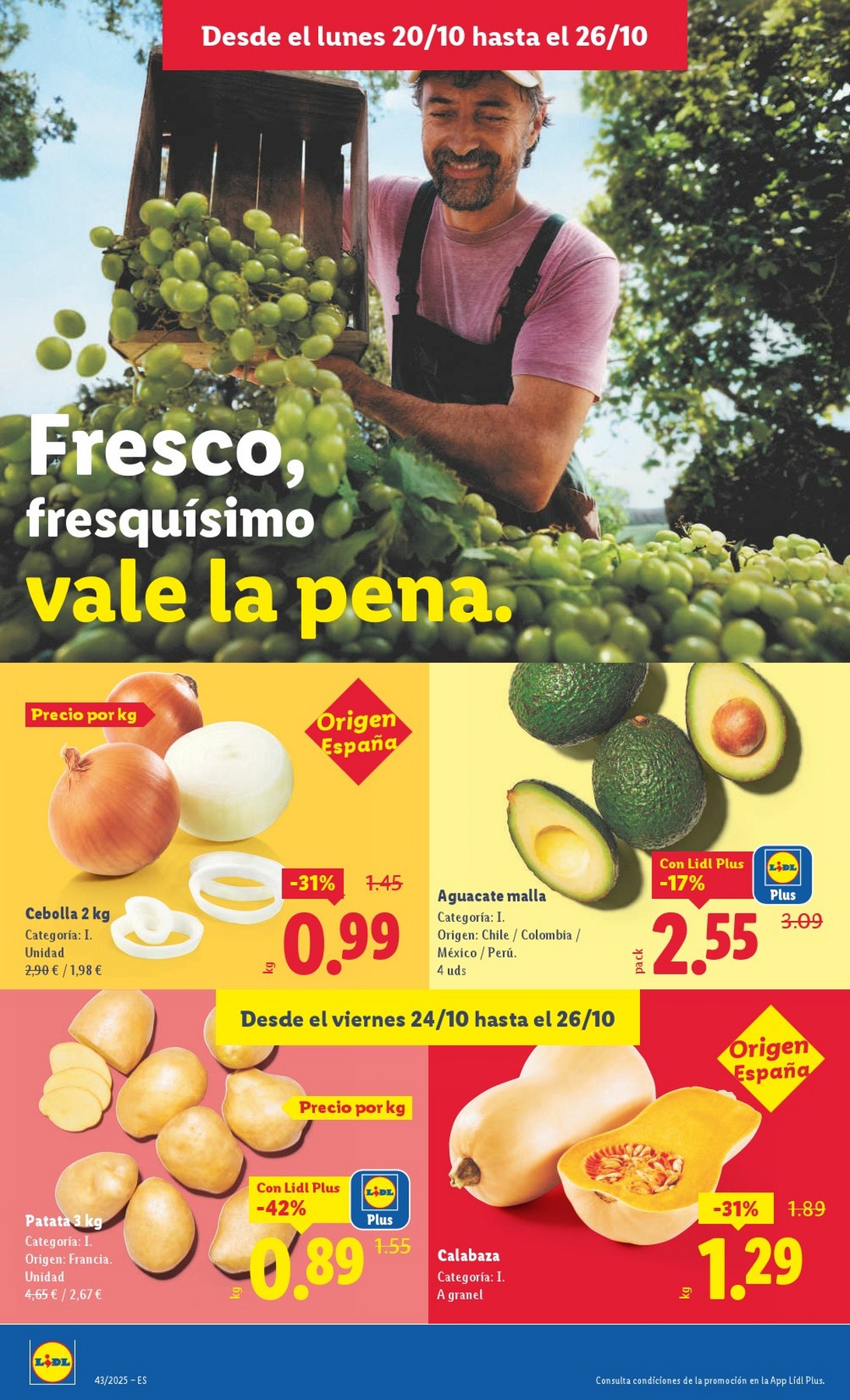 lidl folleto 16
