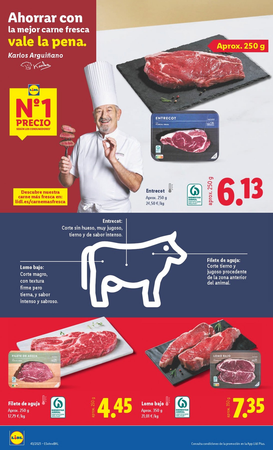 lidl folleto 20