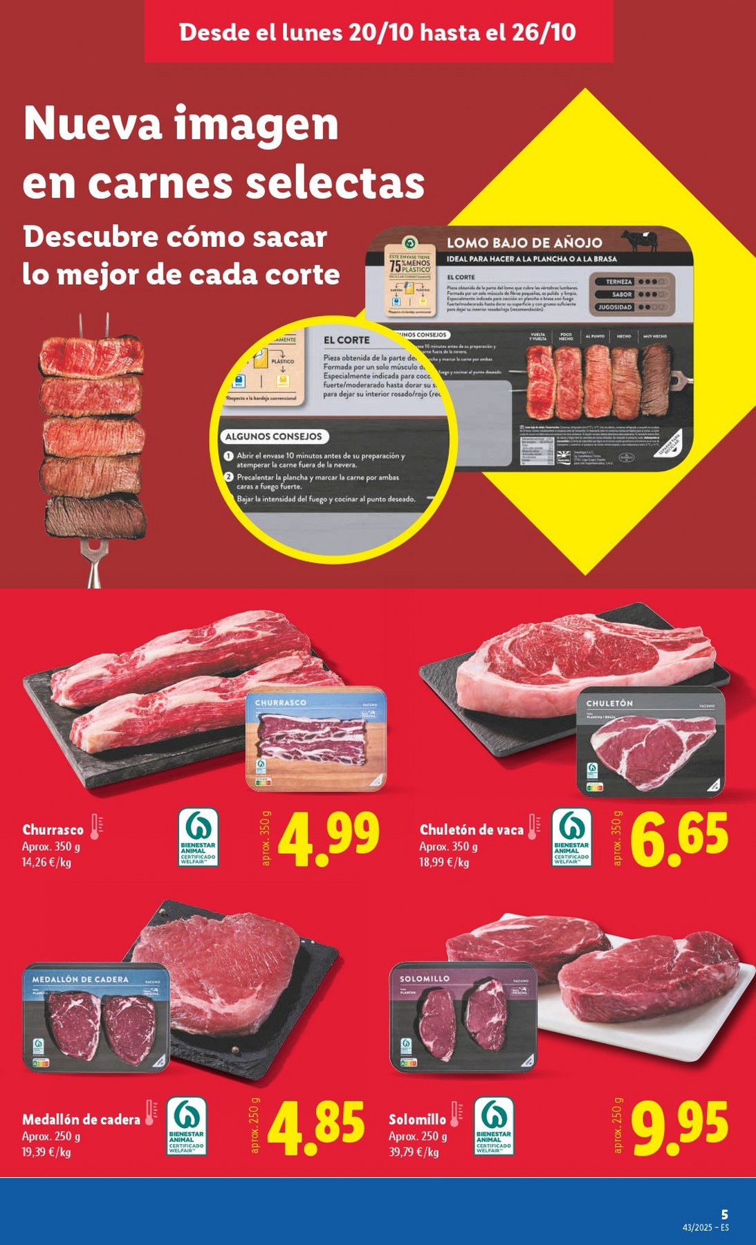 lidl folleto 21
