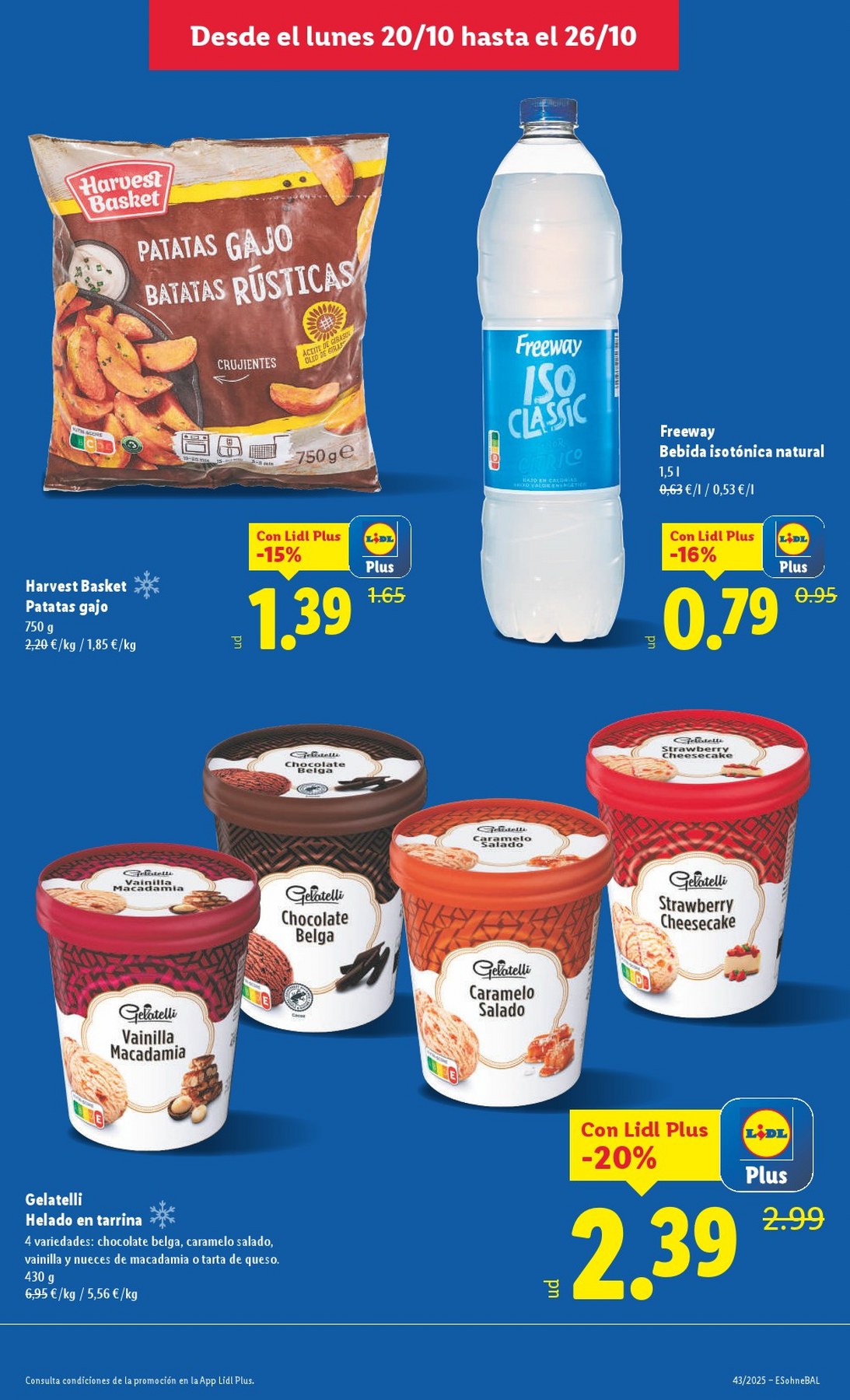 lidl folleto 29