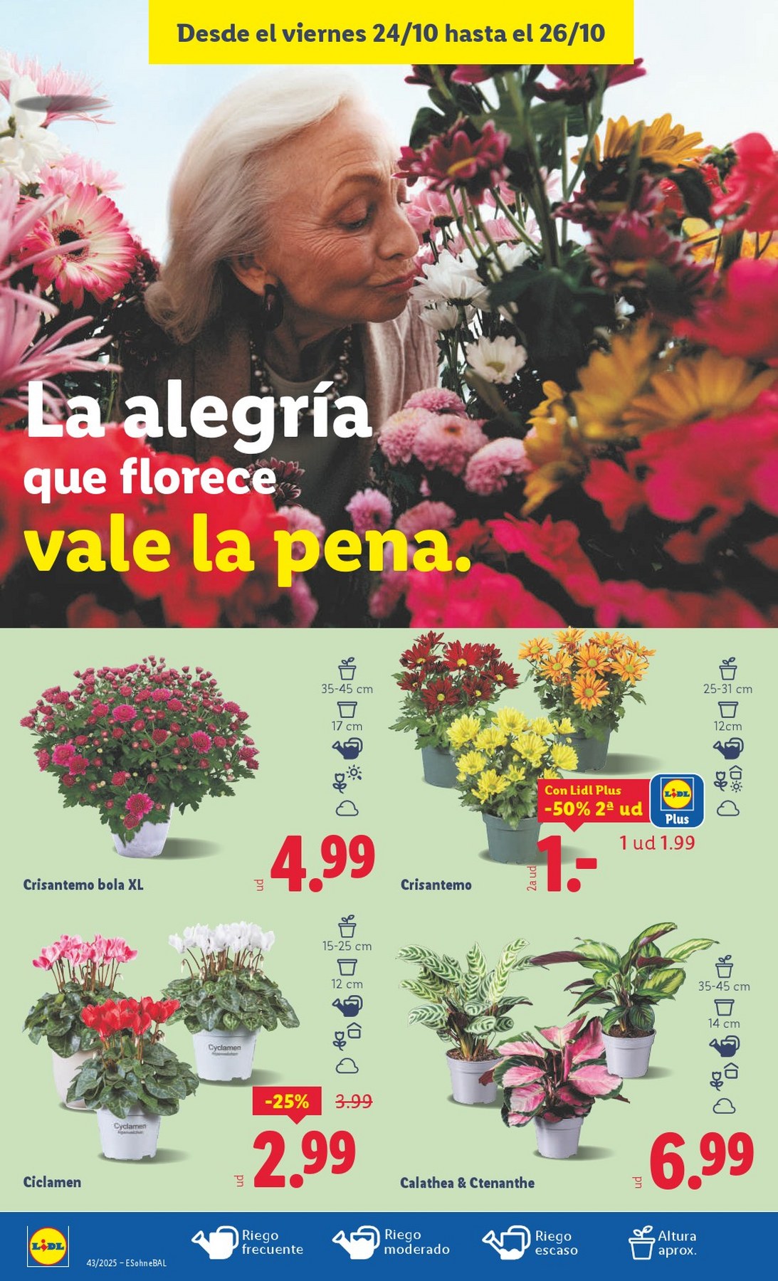 lidl folleto 50