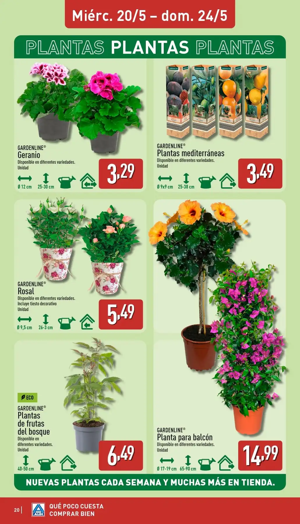 Catálogo Aldi Desde 18/05/2026 - 24/05/2026 Nuevo - Página