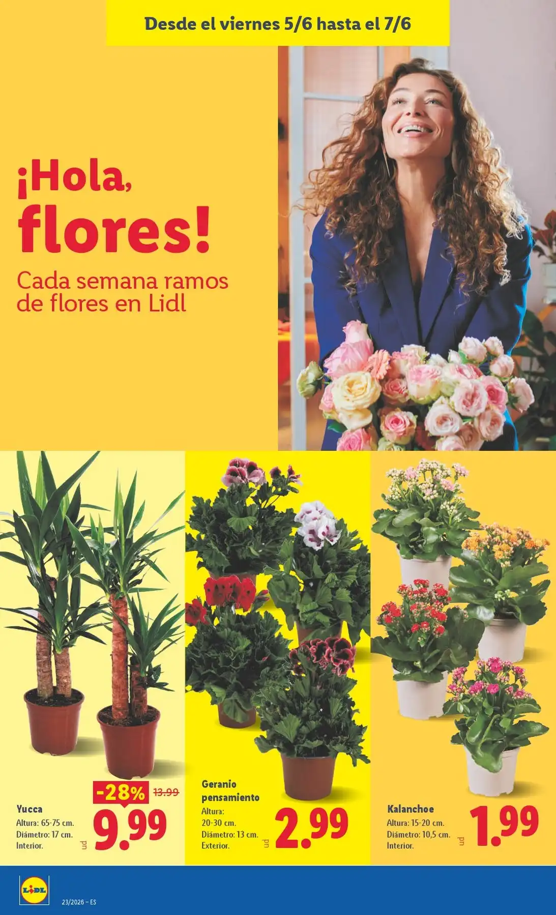 Folleto Lidl Del 01/06/2026 Al 07/06/2026 Ofertas Semanales - Página