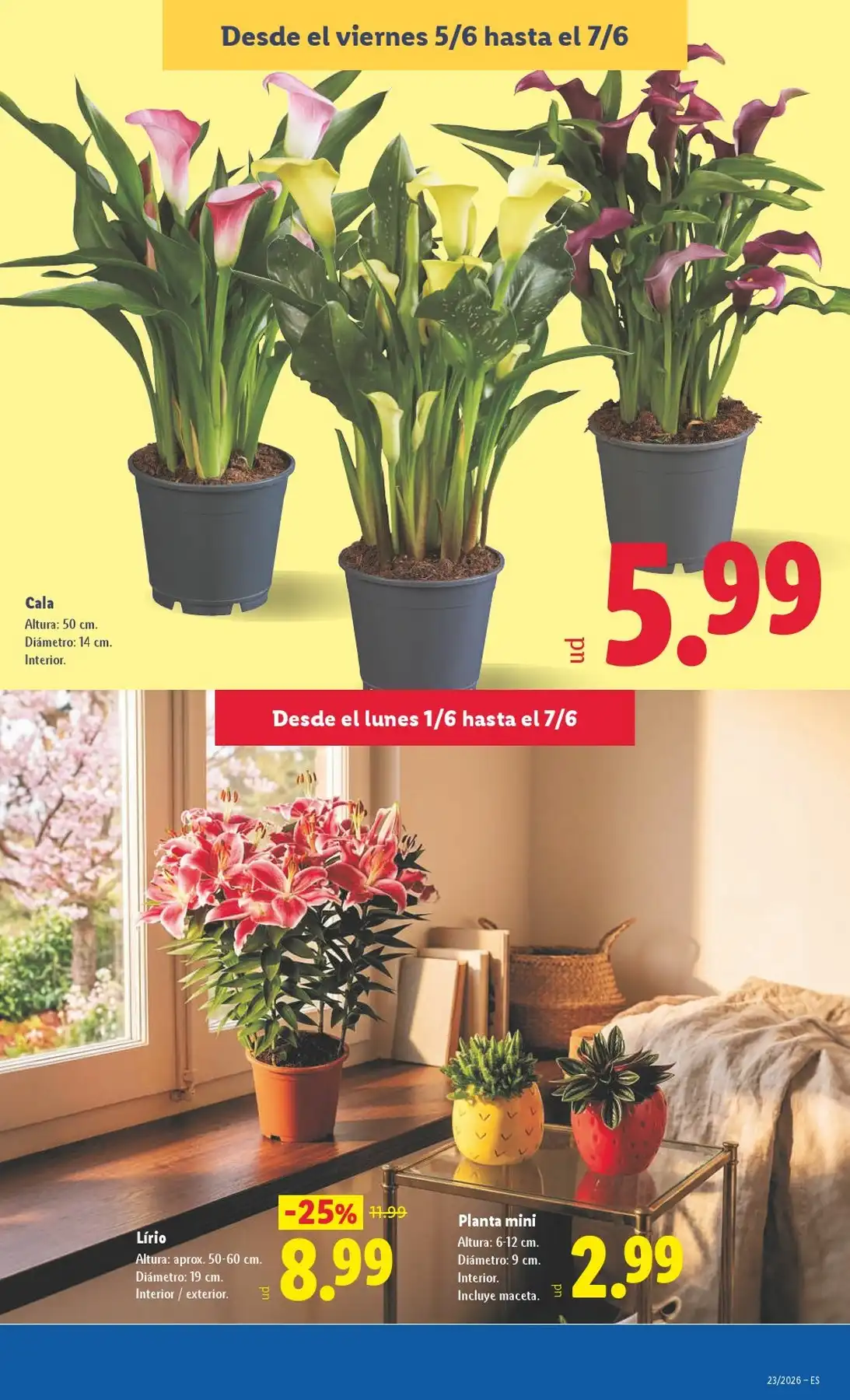 Folleto Lidl Del 01/06/2026 Al 07/06/2026 Ofertas Semanales - Página