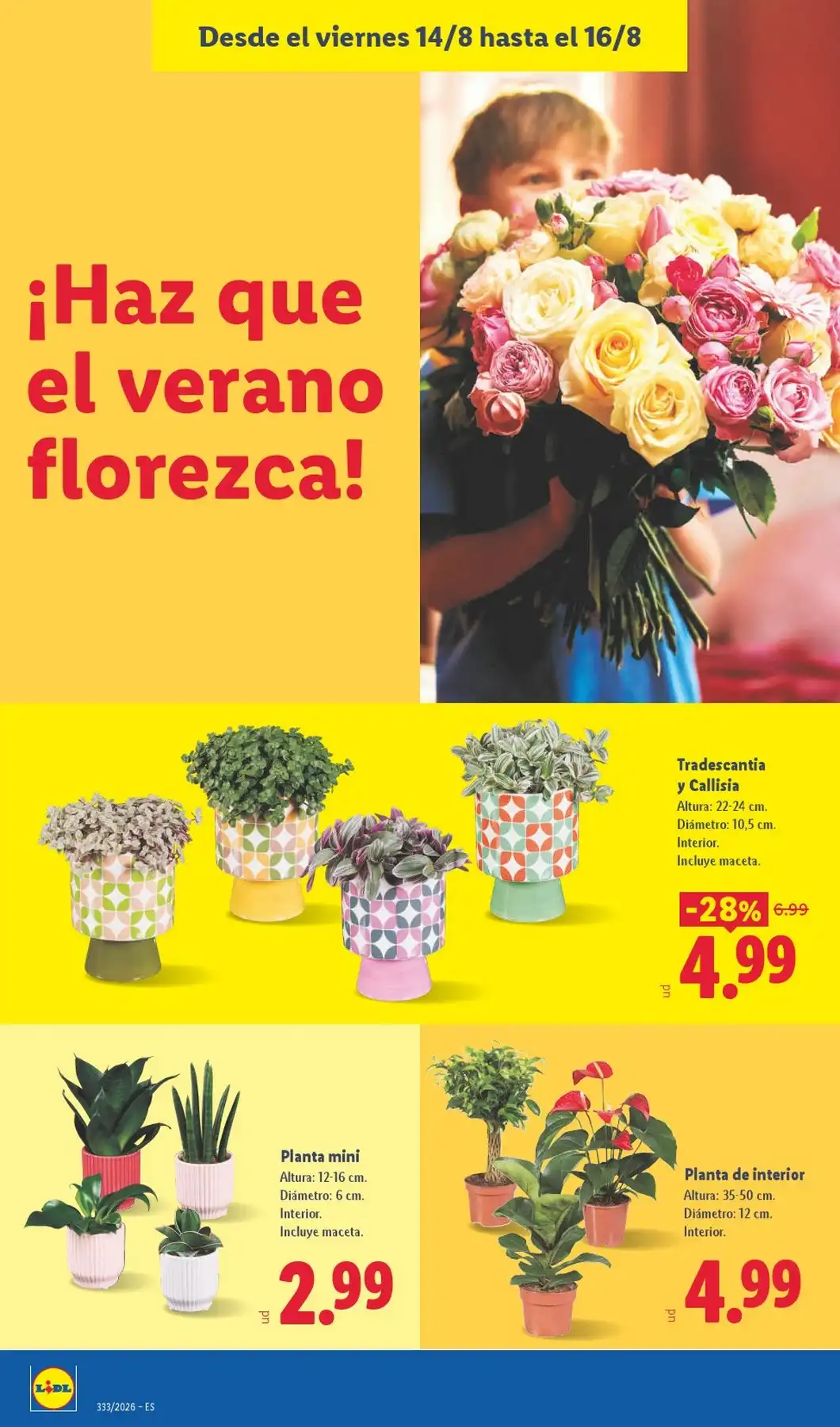 Folleto Lidl Del 10/08/2026 Al 16/08/2026 - Imagen 6 Del 10/08/2026