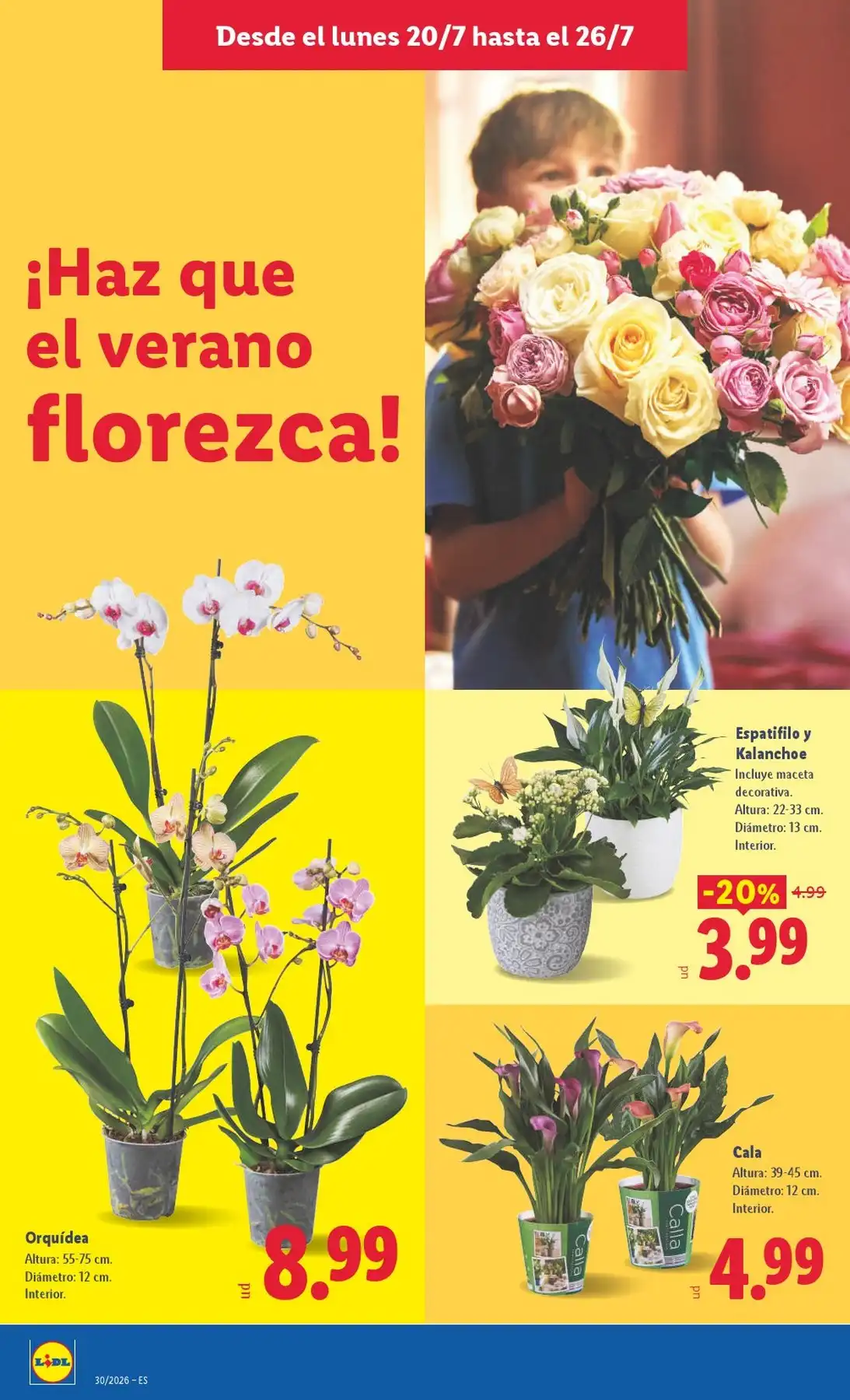 Del 20/07/2026