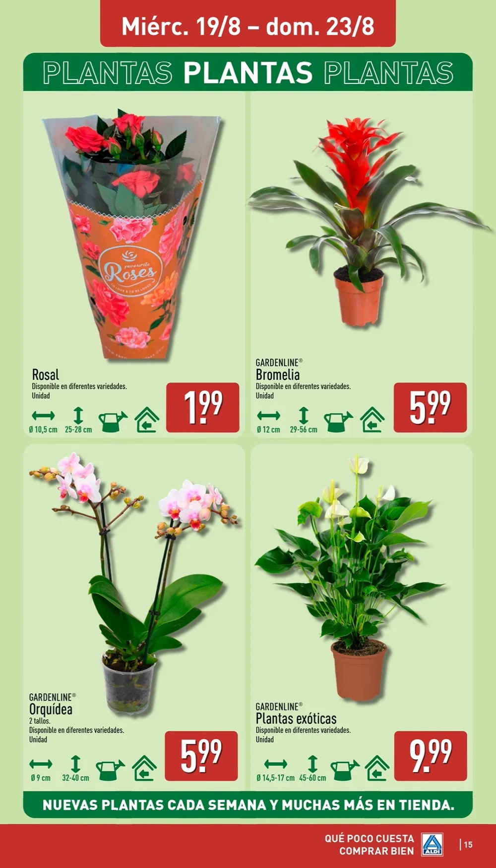 Folleto Aldi 17/08 - 23/08