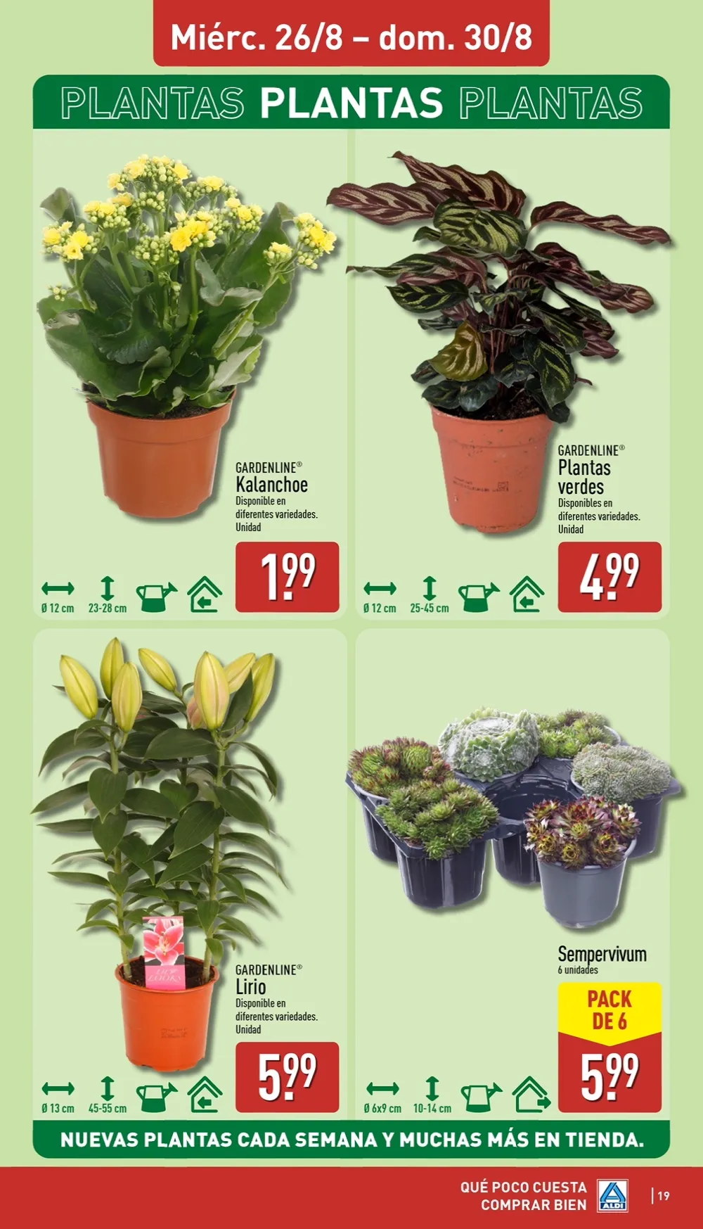 Folleto Aldi 24/08 - 30/08