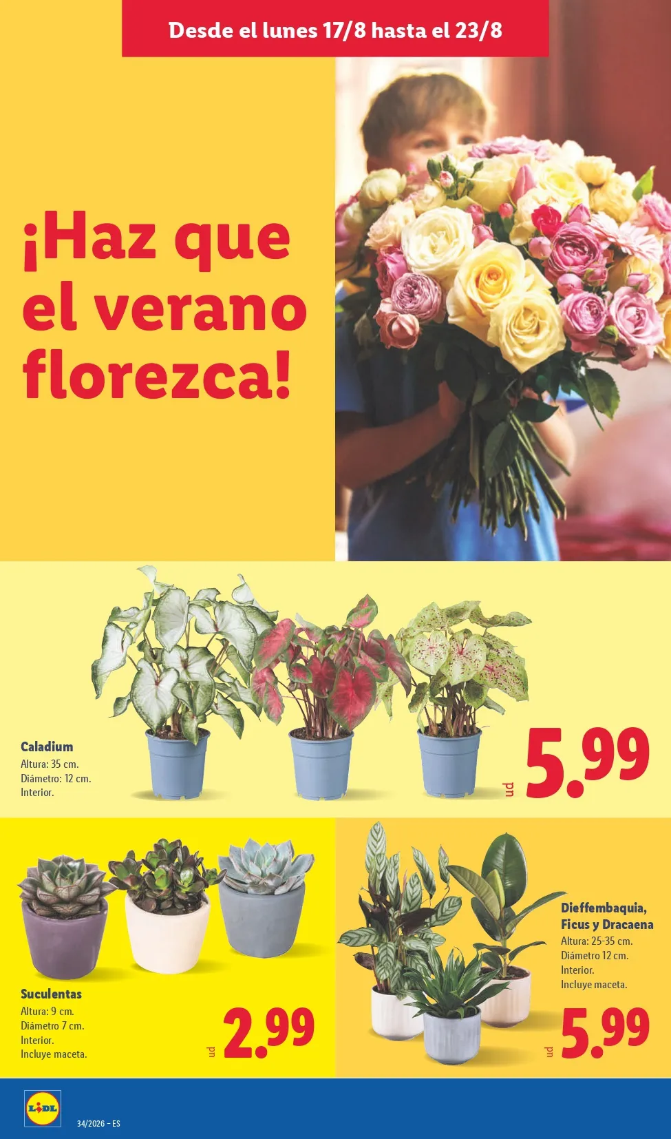 Folleto Lidl Del 17/08/2026 Al 23/08/2026 - Imagen 6 Folleto Lidl 17/08 - 23/08