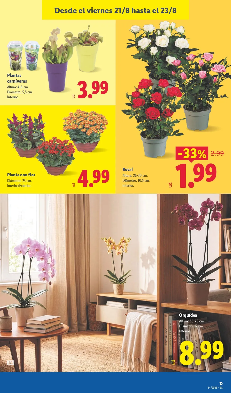 Folleto Lidl 17/08 - 23/08