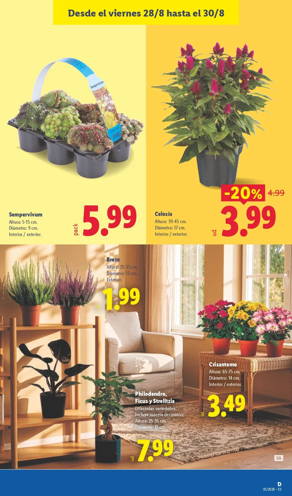 Folleto Lidl 24/08 - 30/08